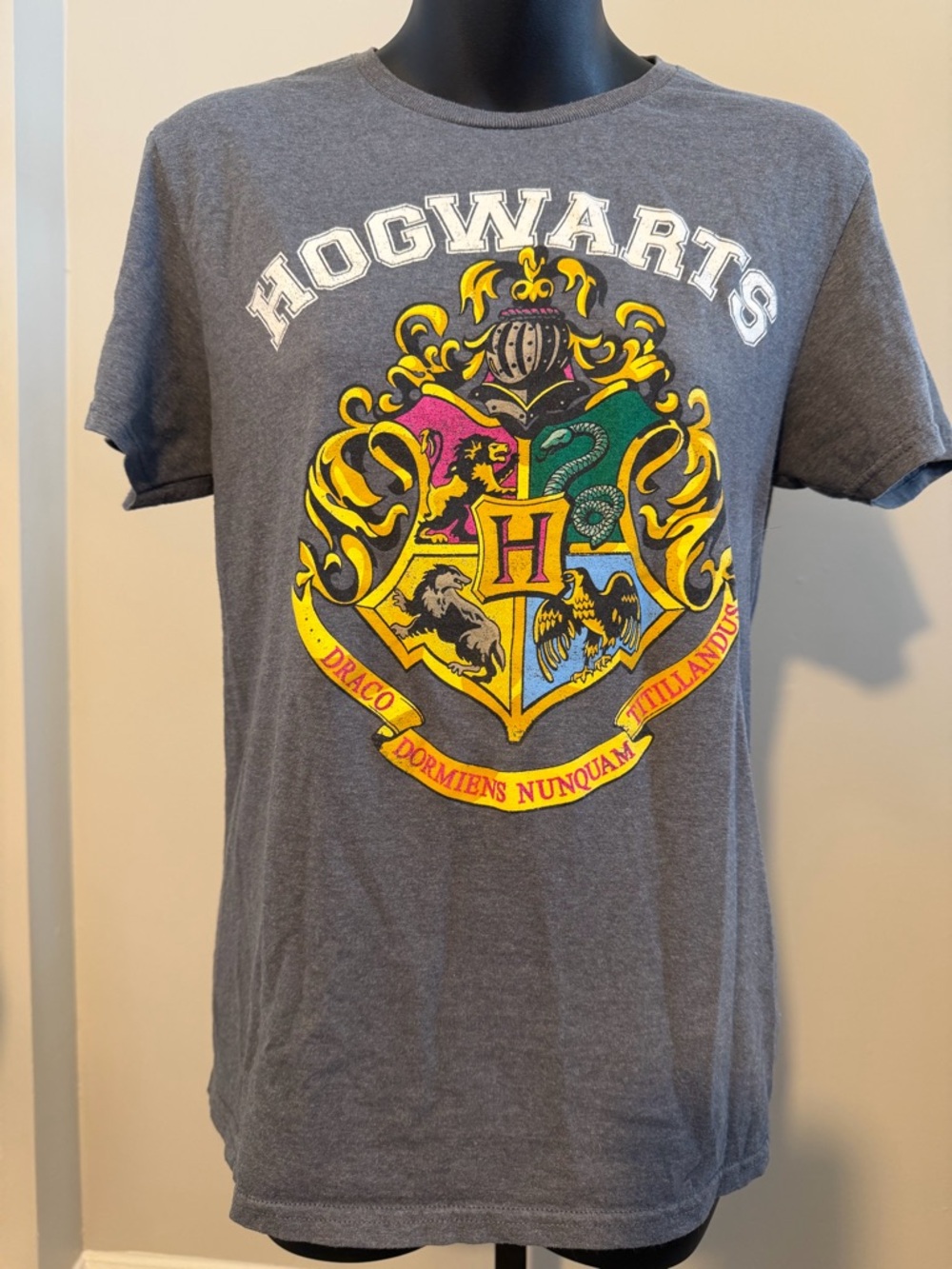 Harry Potter Hogwarts Crest Graphic Tee